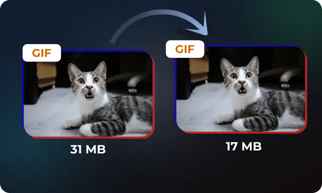 How to Compress a GIF